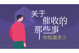 荥经要账公司更多成功案例详情